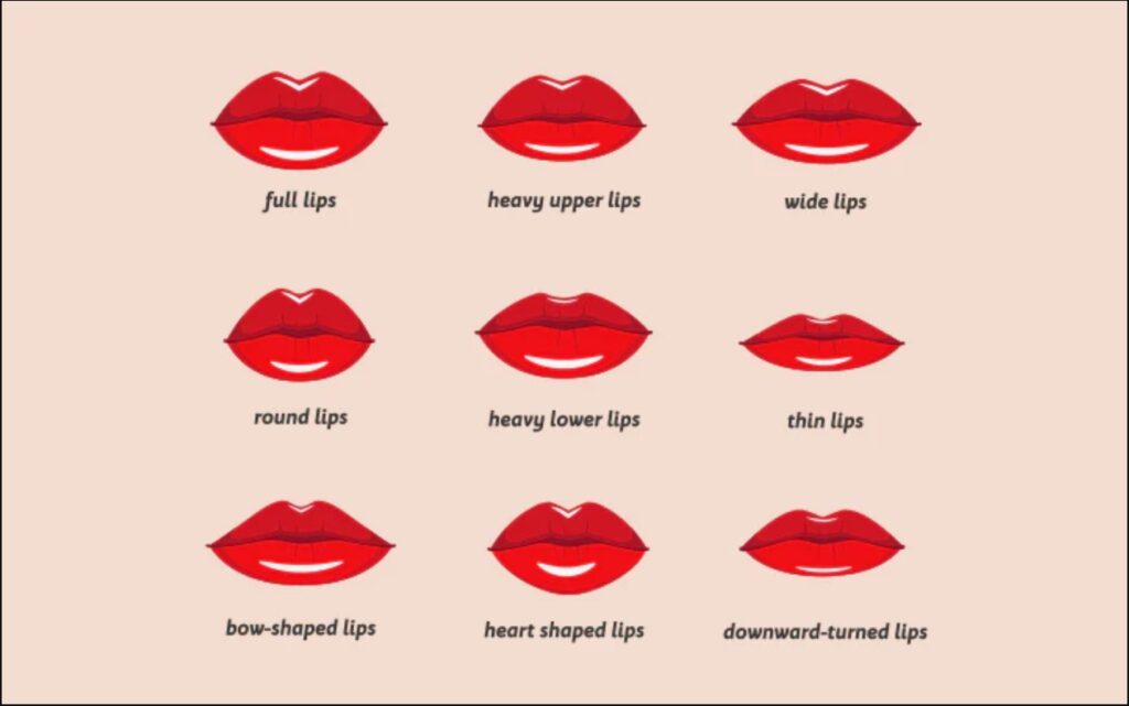 Different Lip Shapes
